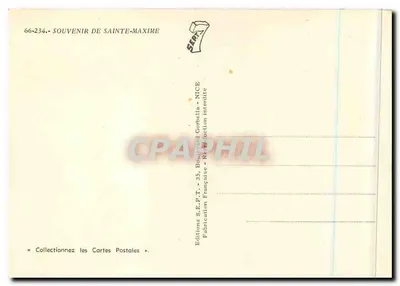 Pamiątka z Sainte-Maxime — kwitnący mimozowiec — Wydawnictwo S.E.P.T. - 35, Boulevard Gorbelli - Nice — Rewers