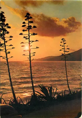 Pôr do sol sobre a Méditerrâneo — Éditions S.E.P.T. — N° 9276/2