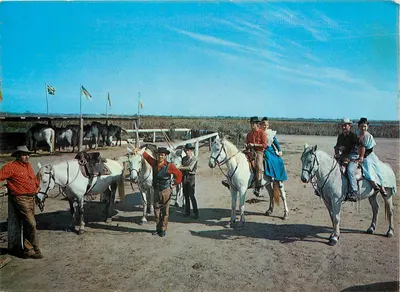 La Camargue (13) — Gardian e Arlésiennes — Éditions S. Audukapes, Perpignan