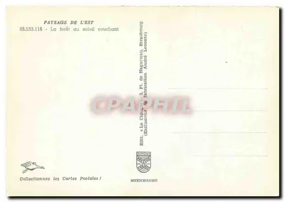 Las w zachodnim świetle — Strasbourg, Alzacja — Wydawnictwo Diplôme — Rewers