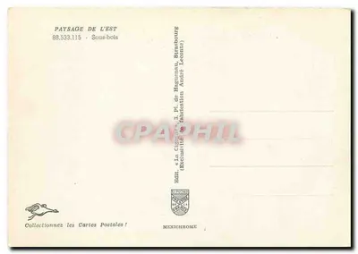 Floresta densa — Sous-bois — Editor IRIS — Verso