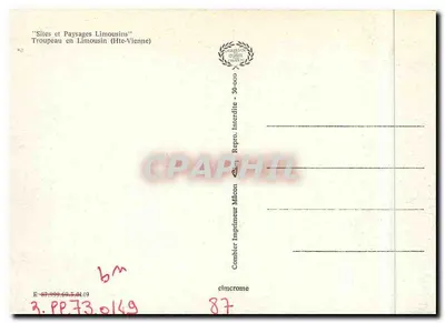Rebanho no Limousin — (Hte-Vienne) — Cinq — Verso