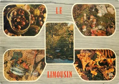 O Limousin — paisagens e produtos regionais — edição M. Farou, n° 87 H 969