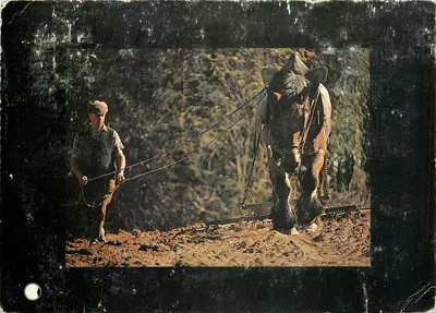 Agricultor e cavalo tração — arando — cap-théojac 007033