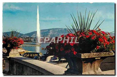 Fonte de Genebra — vista de um balcão — editor Bovey et Cie, n° 3009