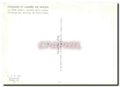 Ogród z żółtymi kwiatami — Saint-Tropez — Éditions d'Art Martiel, Paryż — Rewers