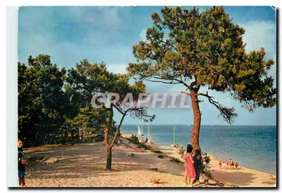 As Portas - Le Fier — Ilha de Ré (Charente-Maritime) — Editor Artaud, Nantes