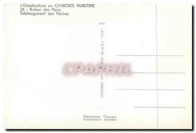 Cultivo de ostras na Charente Maritime — Descarregamento das ostras — Combiér Imp. Maccon (S-a-L) "CIM" — Verso