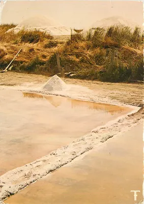Ilha de Ré — O sol trabalhando no marais salant — Éditions T.F. Sept-Îles