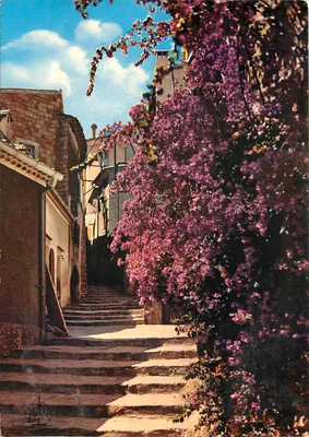 Rua em escadaria em Bormes-les-Mimosas — vista florida — Éditions MAR
