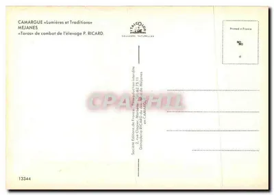 Camargue — Tori da combattimento dell'allevamento P. Ricard — Société Éditions de France — Verso