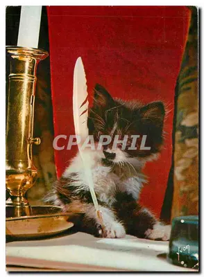 Gato — com pena e vela — edição Jean Tourane, n°19