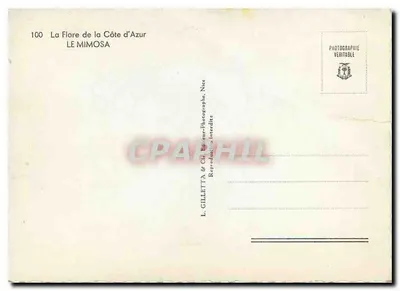 De Mimosa — De Flor van de Kust van de Azuurzee — L. Gilletta & Cie, Nizza — Achterkant