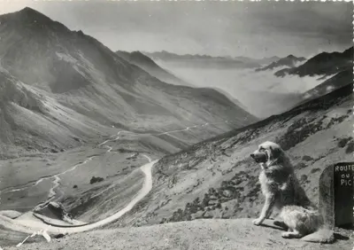 Cane al Col du Tourmalet — Strada del Pic — Ed. JOVE, Pau