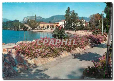 गार्डा झील - बार्डोलिनो - रास्ता डू रिवाज - अज्ञात एडिटर, संख्या 242