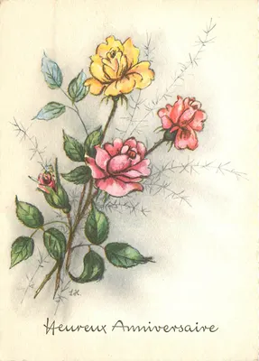 Arranjo de rosas — Aniversário — Aquarela