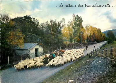 Retorno dos transumantes — Edições Étienne Bron, n° 90.572