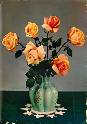 Arranjo de rosas — editor 'Riproduzioni Viola' — n° 232