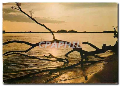 Pôr do sol sobre os lagos — Éditions S.L. — n° 10.071