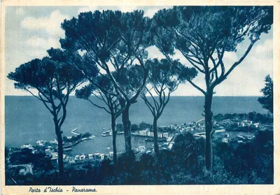 Porto d'Ischia - Panorama — Editor V. Careavallo, Nápoles