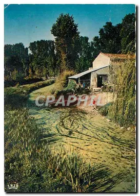 Bilhete postal moderno Marais Poitevin Paisagem Pitoresca da Veneza Verde