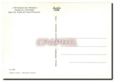 Pole lawendy — w Alpach Wysokiej Prowansji — Editions Photoguy, Nice — Rewers