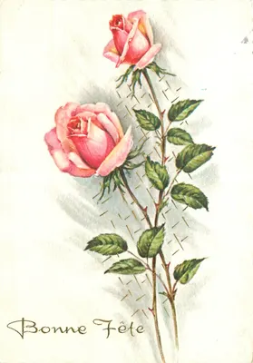 Duas rosas — carta de vœux — SPÉCIAL n° 9481