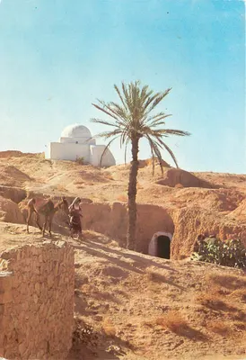 Matmata — Deserto tunisiano com domo branco e palmeira — Éditions TAHIR, Tunis
