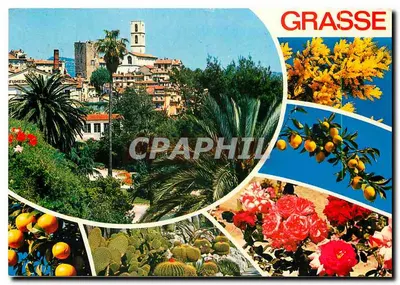 Grasse — Capital das flores e dos perfumes — Les Editions Gilletta