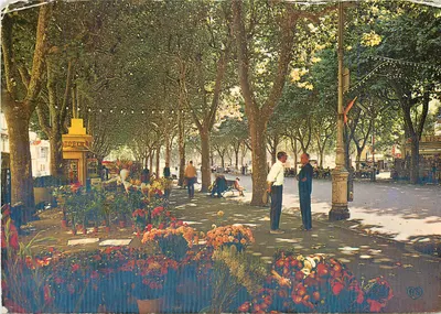 Mercado de flores — Avenues Paul Riquet — Bezières (Hérault) — Editor A. Bécaud