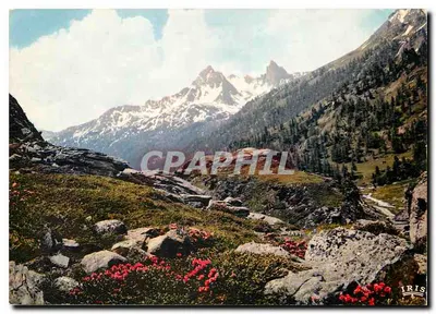 O despertar da Primavera — 2585 — Compagnie des Arts Photographiques, La Clusaz