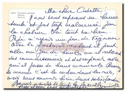 Chamois — Gemsen — 5633 — Wydawca: Éditions du Château — Rewers