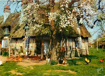 Castelo da Vale d'Auge — Euphoria primaveril — Edições de Arte 'VYVON'
