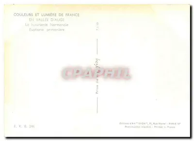 Castelo da Vale d'Auge — Euphoria primaveril — Edições de Arte 'VYVON' — Verso