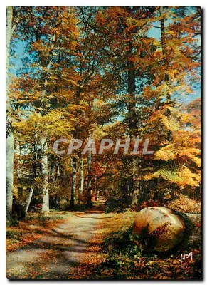 A Floresta no Outono — Fontainebleau (S.-et-M.) — Éditions d'Art YVON