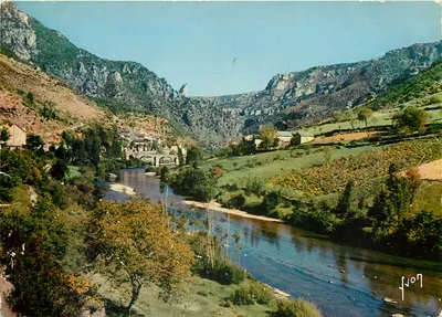 Gorges do Tarn — Les Vignes — Edições d'Art YVON