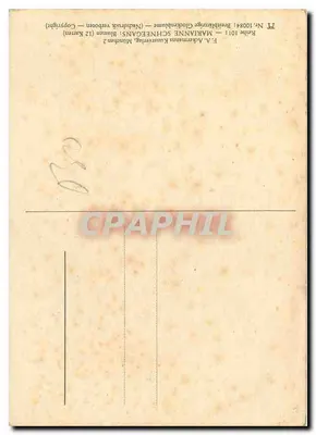 Hypoestes bellardiana — ilustracja botaniczna — F.A. Ackermanns Kunstverlag, seria 10084 — Rewers