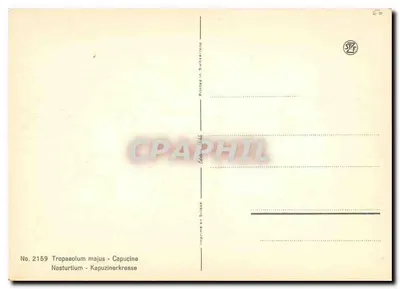 Nasturtium majus — Capucine — Editor S.T.F. n° 2159 — Verso