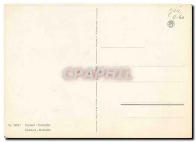 Camélia — Serie 2031 — Geproduceerd in Zwitserland — Achterkant