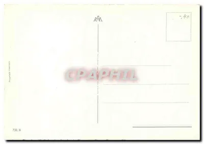 Dwie karnacje — czerwona i różowa — z zielonym liściem — wydawca Proprieta Riserath, n° 735/6 — Rewers