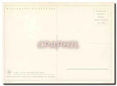 Bukiet kwiatów — ilustracja botaniczna — Carl Jung, Flockenblumen, seria n° 443 — Rewers