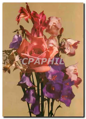 Arranjo de flores — rosas, lírios e campânulas — editor desconhecido