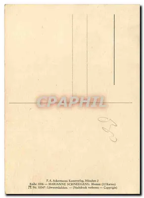 Flores selvagens — ilustração botânica — F.A. Ackermanns Kunstverlag, München 2, série 10047 — Verso