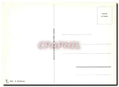 Kwiaty botaniczne — ilustracja botaniczna — A. Kaufmann, n° 5356 — Rewers