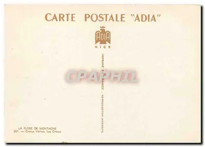 Crocus górski — Adia, Nice — n°301 — Rewers