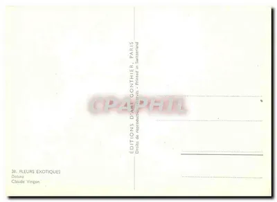 Datura Stramonium — ilustracja botaniczna — Claude Vinçon — Rewers