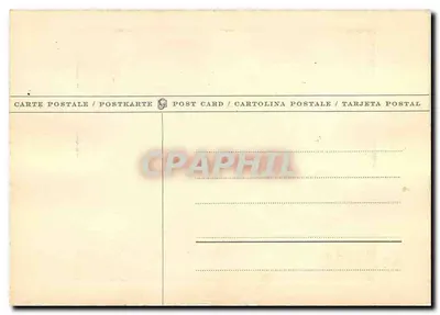 Galhos de bagas vermelhas — ilustração botânica — Verso