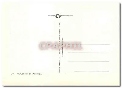 Violeta e mimosa — Toulouse — Edições Gilletta, Nice — Verso