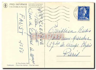 Kwitki polne — bukiet miodów i kwiatów dzikich — M. Frey-Surbek, Born — Rewers