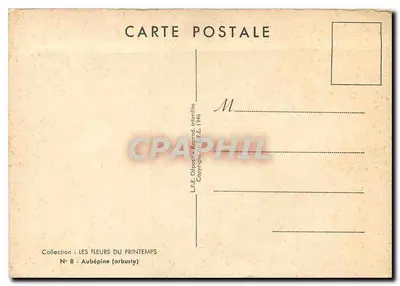 Aubépine (arbusto) — Coleção Les Fleurs du Printemps — L.E.E. Departamento Interdepartamental, 1946 — Verso